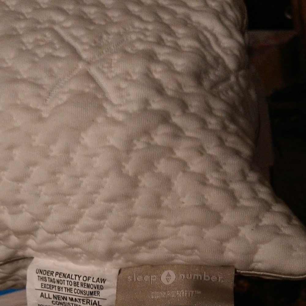 Sleep Number White Pillow